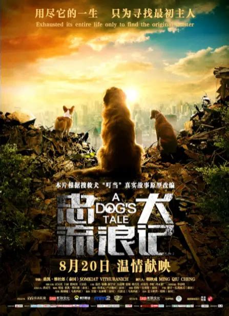 Box Office Success to Social Awakening: How the Chinese Adaptation of ‘A Dog’s Tale’ Highlights the Changing Attitudes Towards Animal Rights