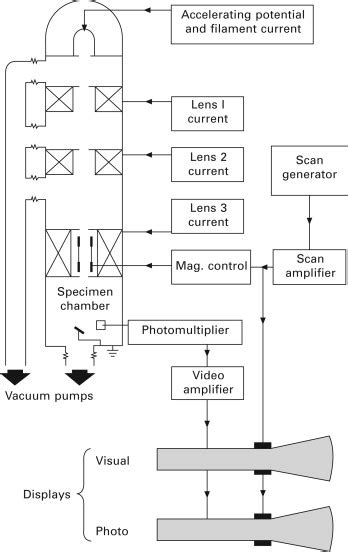 codini.rgarabwor.edu.pl. 