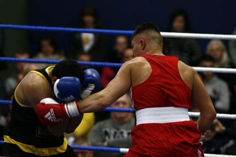 Boxchamp. ‎Download apps by BoxChamp, including Octiv. 