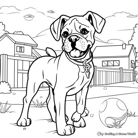 Boxer Dog Coloring Pages