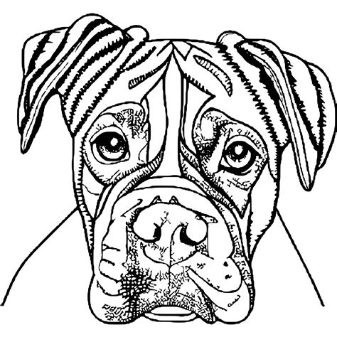 Boxer Dog Coloring Sheets