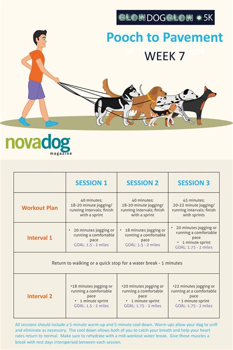 Boxer Puppy Training Schedule