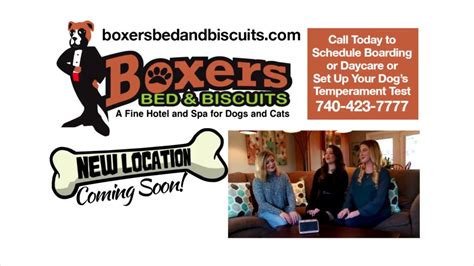 Boxers Bed and Biscuits Veterinary Assistant Review: You can …