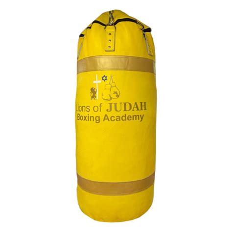 Boxing Punch Bag - 100kg - 5ft - Lions of Judah