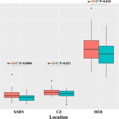 Boxplots - IBM