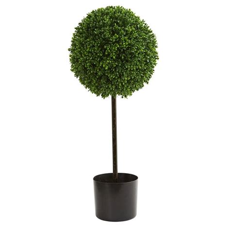 Boxwood Ball Tree - Etsy