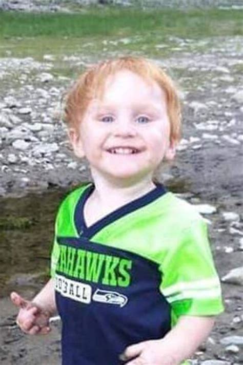 Boy missing for 2 days is found safe in remote Michigan park