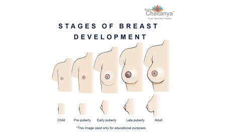 Boy touhing boobs nude.  Find out what does affect how breasts develop. ...