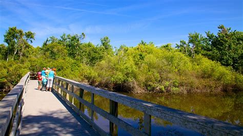 Boyd hill park st petersburg fl. St Petersburg, FL is a vibrant city filled with sports, museums, parks, marinas, beaches, outdoor activities. Share Last Updated on February 20, 2023 St. Petersburg is a vibrant ci... 
