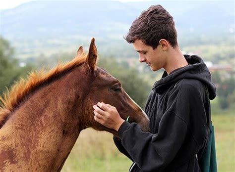 Boys Ranches for Troubled Boys Therapeutic Boys …