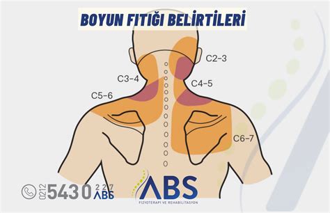 Boyun Halı ve Koltuk Yıkama