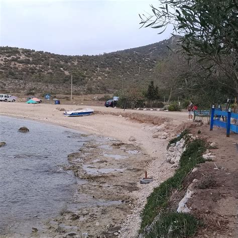 Bozbuk Halı ve Koltuk Yıkama