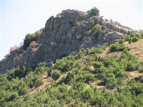 Bozcanak Halı ve Koltuk Yıkama