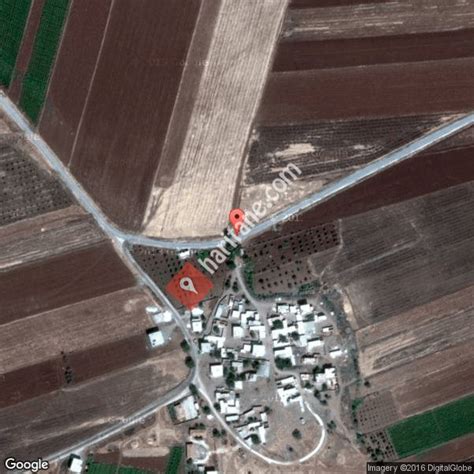 Bozcayazi Halı ve Koltuk Yıkama