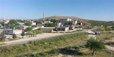 Bozdere Halı ve Koltuk Yıkama