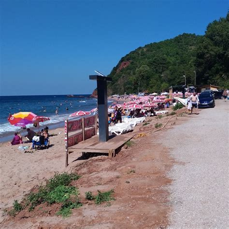 Bozkoy Halı ve Koltuk Yıkama