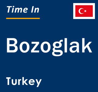 Bozoglak Halı ve Koltuk Yıkama