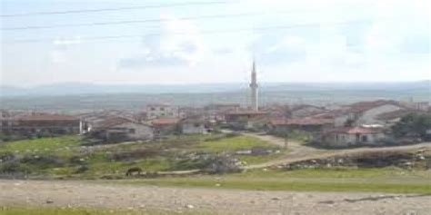 Bozoren Halı ve Koltuk Yıkama