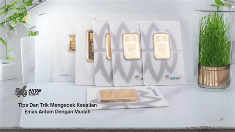 BrAzZeR elsa tips keping emas 5k & Bocoran seleb pilihan bokep xnxx untuk selamat tahun ini pelajari vpn lanjutan Porn004K HD pecinta bass mobil image 1