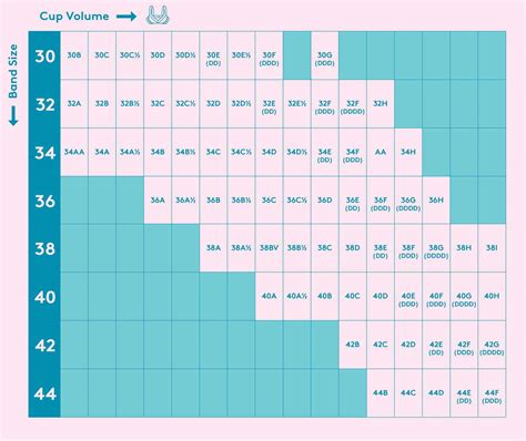 Bra Size Charts and Conversions Accurate Guide with Images