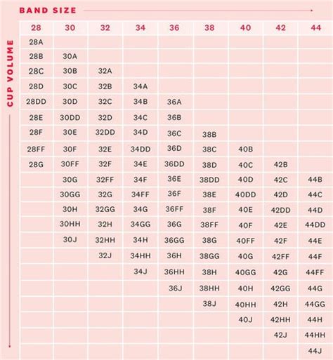 Bra size calculator How to Measure Your Bra Size at Home