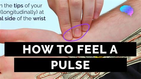 Brachial pulse. Things To Know About Brachial pulse. 
