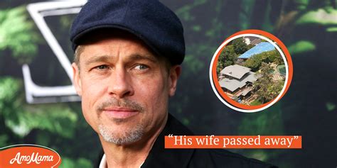 Brad Pitt Let Old Widower Live In His $40M LA Home until His …