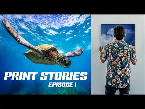 Brad Styron Photography - Print Story - Hawaiian Honu - YouTube