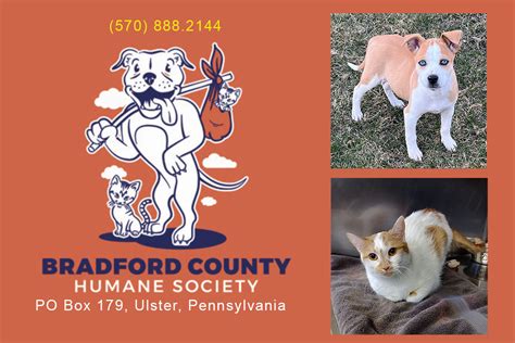 Bradford County Humane Society in Ulster, PA - AdoptaPet.com