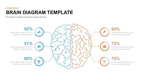 Brain Diagram PowerPoint Template and Keynote Slidebazaar