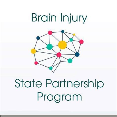 Brain Injury State Partnership Program The Center for Human ...