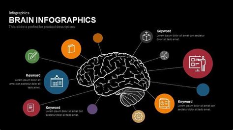 Brain Powerpoint Template And Keynote Slide Slidebazaar