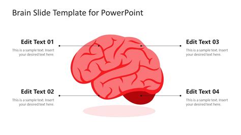 Brain Template For Powerpoint