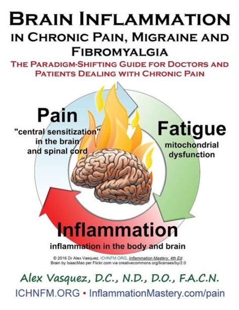 Brain inflammation in chronic pain migraine and fibromyalgia the paradigm shifting guide for doctors and patients. - Studi a gamma completa flessibilità della tromba.