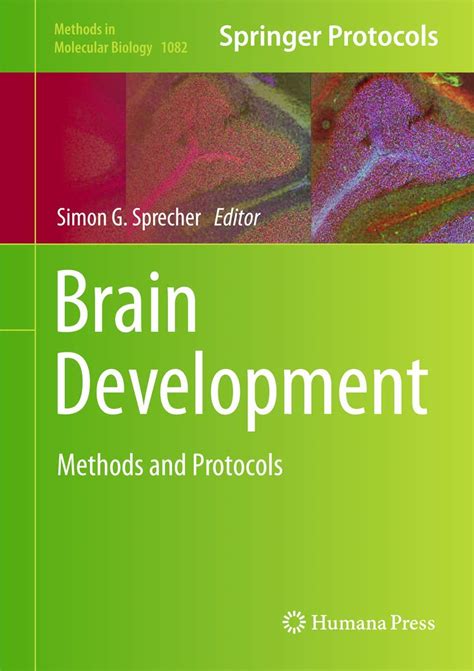 Read Brain Development Methods And Protocols By Simon G Sprecher