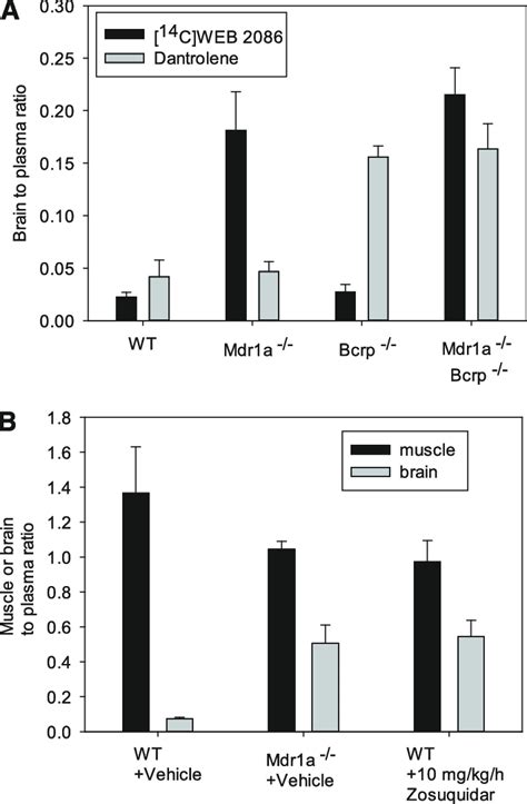 Brain-to-Plasma Ratio - an overview ScienceDirect Topics