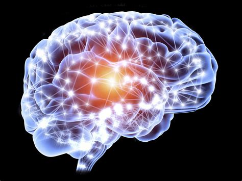Braincell. The brain works like a big computer. It processes information that it receives from the senses and body, and sends messages back to the body. But the brain can do much more than a machine can: humans think and experience emotions with their brain, and it is the root of human intelligence. 