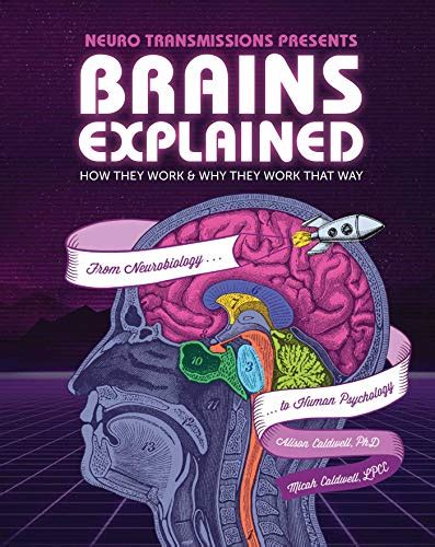 Brains Explained How They Work Why They Work That Way