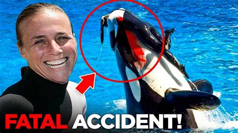 Dawn Brancheau, a trainer at SeaWorld, with a killer whale in 2005. Blancheau was grabbed and killed by a whale after a show last week. Photograph: Julie Fletcher/Associated Press. 