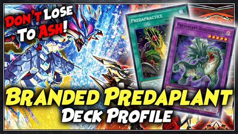 May 19, 2022 · TCG Deck · 41 cards · Download the decklist (YDK/PDF) or create your own version on cardcluster. ... branded predaplant. TCG February 2022 · Created by . nath . 1 ... .