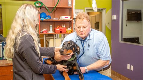 Brandon lakes animal hospital. Looking for the top activities and stuff to do in Lake Tahoe, CA? Click this now to discover the BEST things to do in Lake Tahoe - AND GET FR Words don’t do justice to the dramatic... 