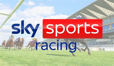 Brandy Love (IRE) Horse Profile Sky Sports Horse Racing