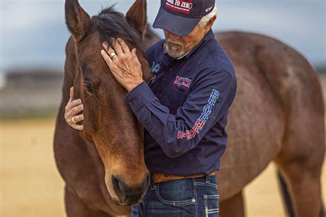 BraveHearts: Horse therapy for veterans