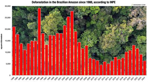 Brazil sharing knowledge on monitoring deforestation for COP31