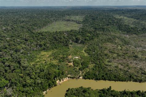 Brazil sues meatpackers over Amazon deforestation