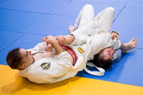 Brazilian Jiu Jitsu Video Courses BJJ Videos JiuJitsu.com