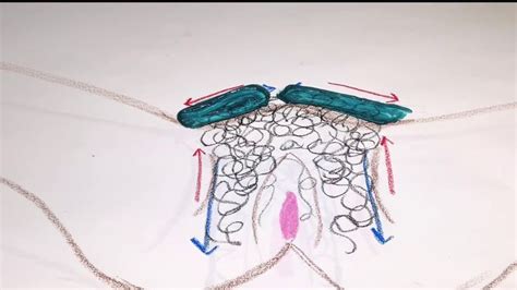 Brazilian Wax Diagram