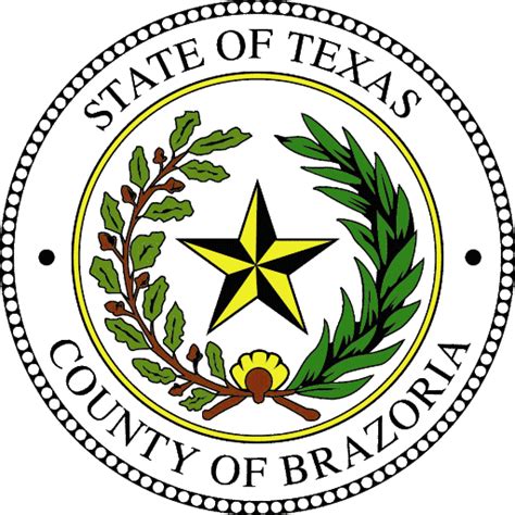 Brazoria county county clerk. Brazoria County Courthouse County Clerk’s Office 111 E. Locust Suite 200 Angleton, TX 77515; Monday - Friday 8:00am - 5:00pm (979) 864-1355 