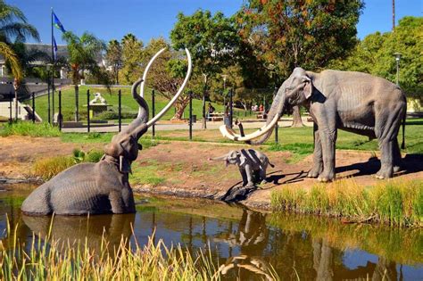 Brea tar pits photos. Things To Know About Brea tar pits photos. 
