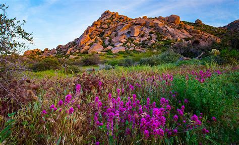 Break of Scottsdale